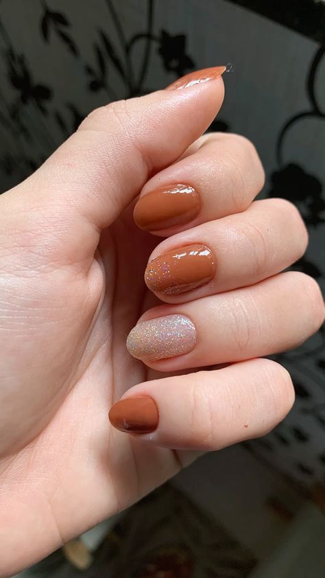 Terracotta and Clay Shades