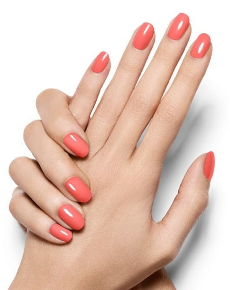 Warm Coral Shades