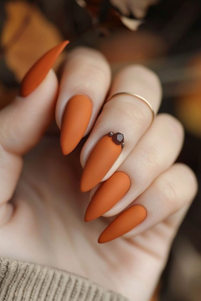 Fall Color Polish Nail Designs